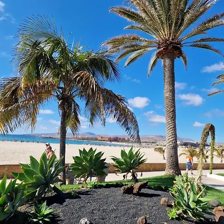Caleta Appartement *